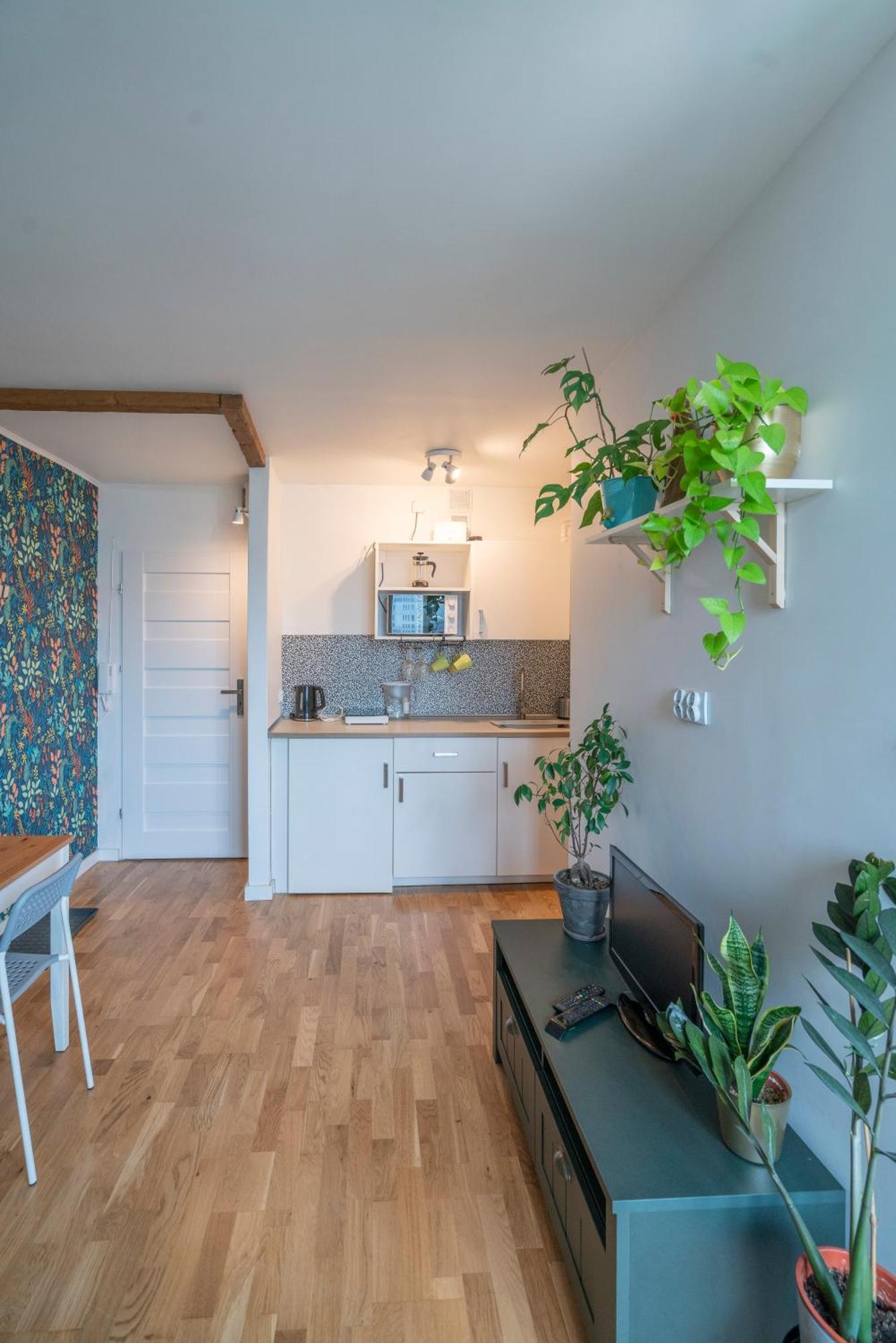 Green Studio In The City Center Of ורוצלב מראה חיצוני תמונה